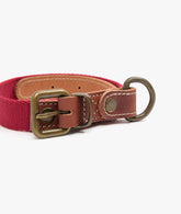 Dog Collar Small | My Style Bags